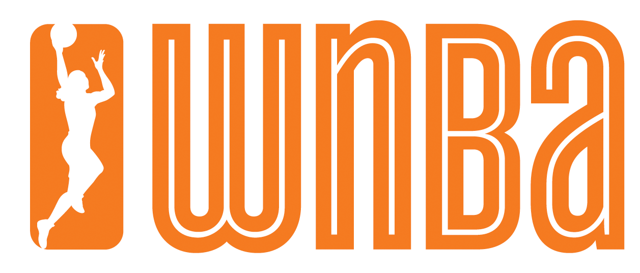 WNBA 2013-Pres Alternate Logo iron on heat transfer